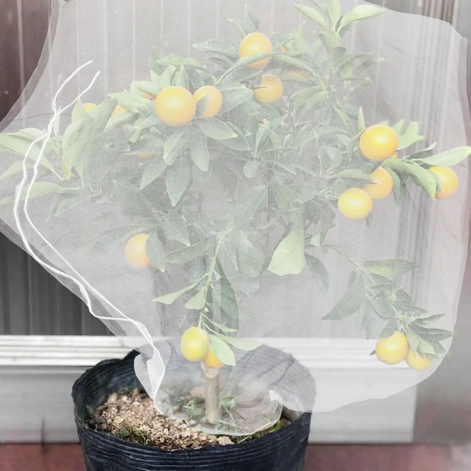 8Pcs Fine Mesh Plant Protectio - Mesh Net Bag ulasan dan harga