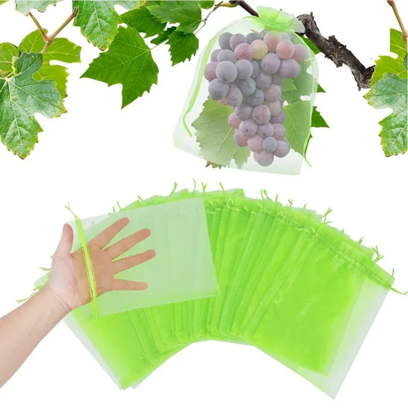 50pcs 20x30cm Fruit Protection - Mesh Net Bag ulasan dan harga