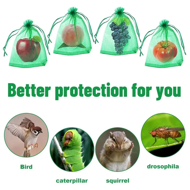50pcs 20x30cm Fruit Protection - Mesh Net Bag ulasan dan harga