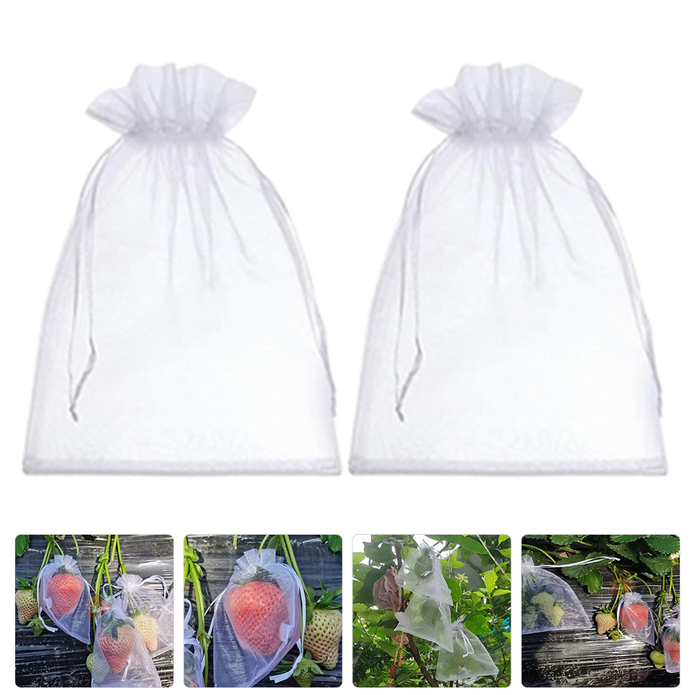 50Pcs Fruit Protection Bags Me - Mesh Net Bag ulasan dan harga