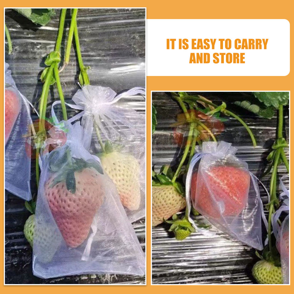 50Pcs Fruit Protection Bags Me - Mesh Net Bag ulasan dan harga