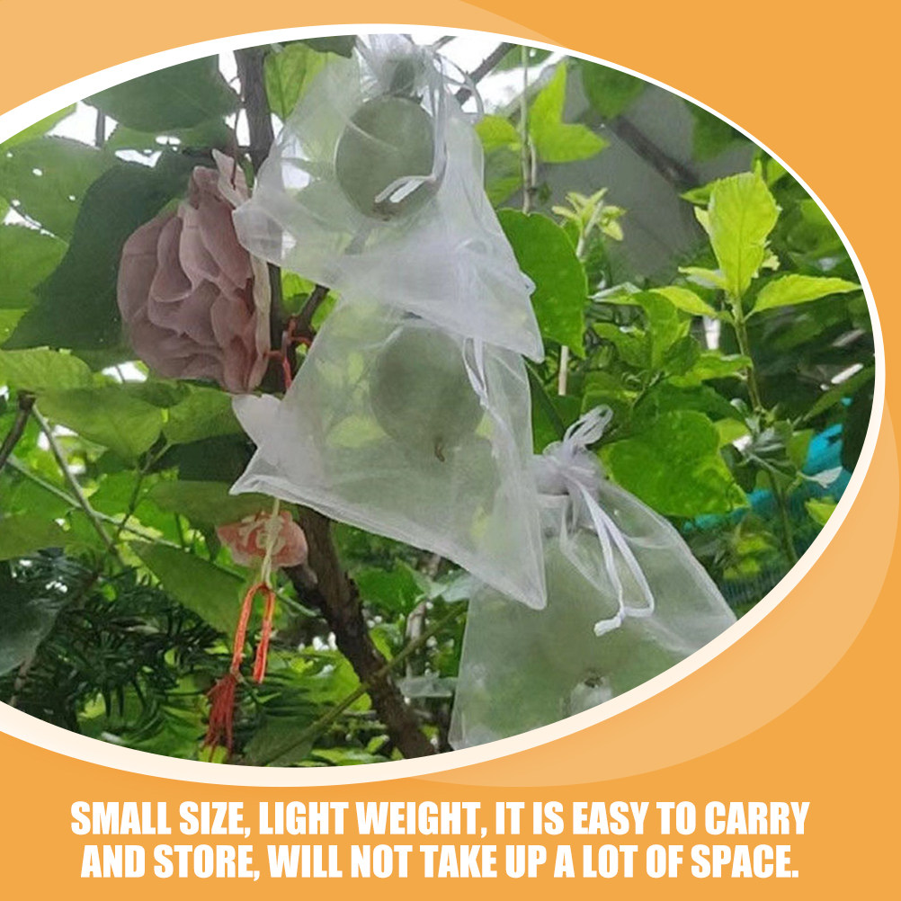 50Pcs Fruit Protection Bags Me - Mesh Net Bag ulasan dan harga